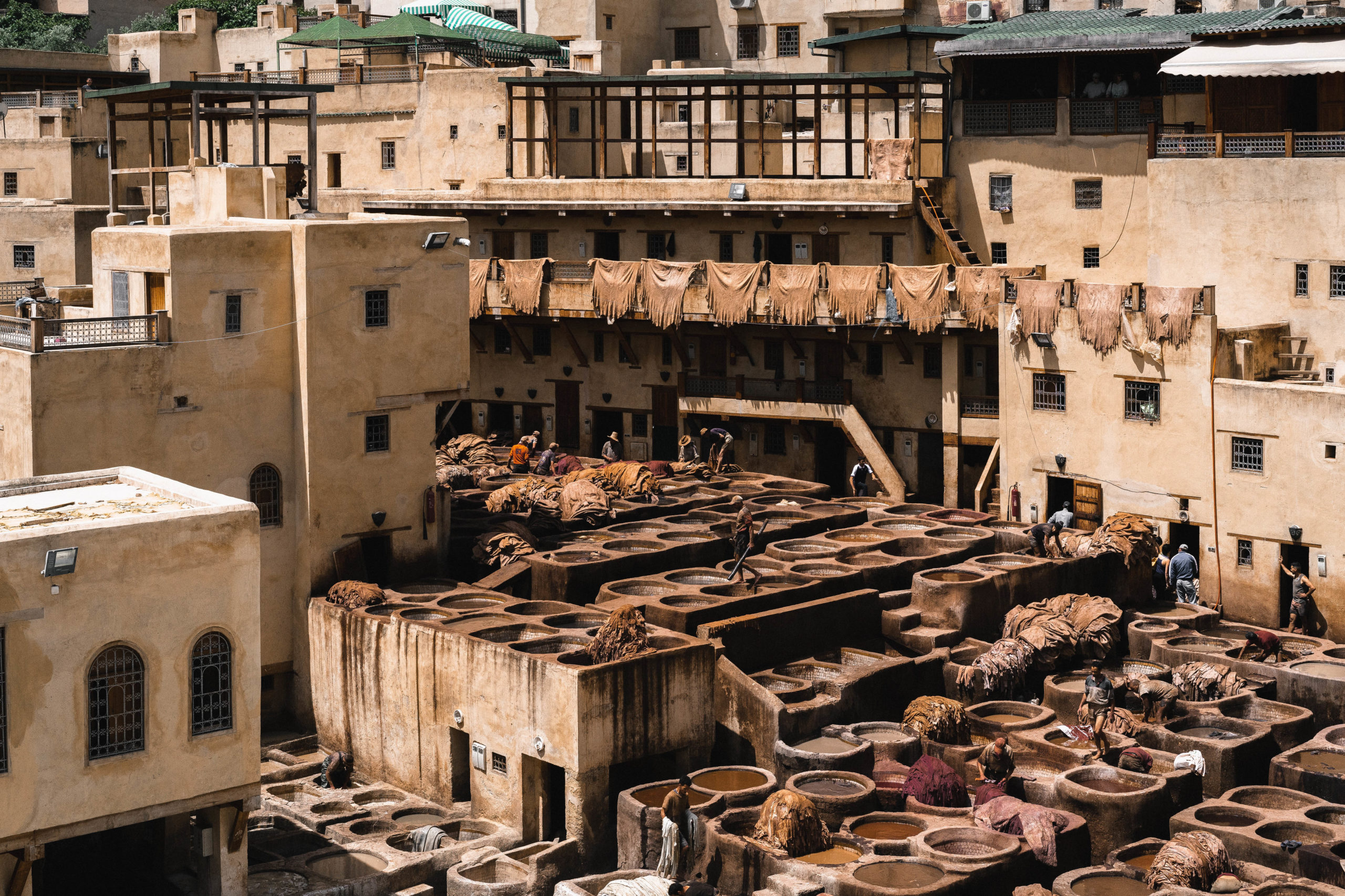 Exploring the Exotic Beauty of Fez, Morocco