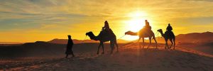 best day trip from marrakech