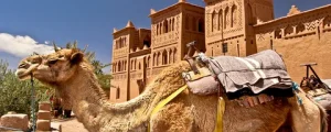 4 Days Tour from Fes to Marrakech via Merzouga Itinerary