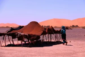 desert trips from marrakech
