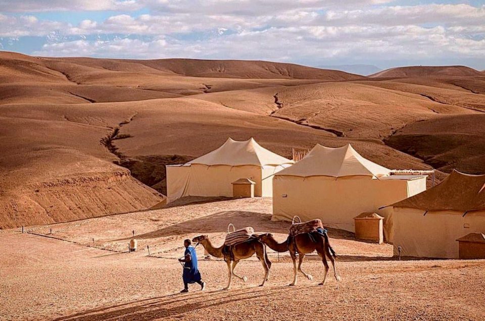 #1 Best Trips to Morocco