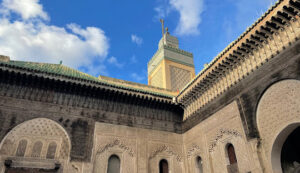 FES