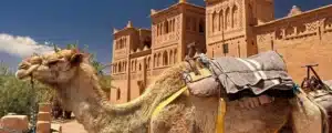 morocco itinerary 9 days