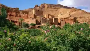 Embark on an unforgettable Morocco travel tour with our top Marrakech Desert Itinerary Safari. This meticulously crafted Morocco tour itinerary takes you on an exhilarating journey from the vibrant city of Marrakech to the awe-inspiring Sahara Desert. Your Marrakech tour itinerary begins with a thrilling drive through the picturesque landscapes of the Atlas Mountains, providing breathtaking views and unique photo opportunities. As you venture deeper into the desert, you'll experience the enchanting beauty of the Agafay Desert, with its rolling dunes and serene ambiance, perfect for an unforgettable Marrakech excursion. Your Morocco tour continues with an overnight stay in a traditional Berber camp, where you can enjoy camel rides, traditional music, and a star-studded night sky. This tour from Marrakech offers an immersive experience into the heart of Moroccan culture and natural beauty. Conclude your Marrakech desert tour with a visit to the historical Ait Benhaddou, a UNESCO World Heritage site, before heading back to Marrakech. This Morocco tour itinerary promises an adventure of a lifetime, combining the best of Marrakech excursions and desert exploration.