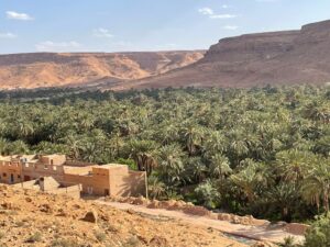 14 Days Morocco Tour,Historic Hassan II Mosque in Casablanca, a starting point for the 14-day Morocco tour." "Colorful souks and traditional lanterns in Marrakech during a guided Morocco tour from Casablanca." "View of the ancient medina in Fes, included in the 14-day Morocco travel itinerary." "The blue-washed streets of Chefchaouen, a must-see destination on a two-week Morocco tour.",Camel caravan crossing the Sahara Desert at sunset during a Morocco desert tour from Casablanca." "Luxury desert camp in Merzouga under a starlit sky, part of a 14-day Morocco adventure." "Snow-capped peaks of the Atlas Mountains seen during a scenic drive on a Morocco itinerary,"Intricate Moroccan tilework at a traditional riad in Fes, featured in the 14-day tour package." "Ancient kasbah in Ait Ben Haddou, a UNESCO site included in the Morocco tour from Casablanca." "Royal palace gates in Rabat, one of the imperial cities visited on the two-week Moroccan journey.",Berber woman demonstrating traditional weaving in an Atlas Mountain village during a cultural Morocco tour." "Tourists enjoying Moroccan tea ceremony in a riad courtyard on a guided 14-day tour." "Cooking class experience in Marrakech as part of an immersive Morocco itinerary." "Local musicians performing Gnawa music in the streets of Essaouira during the Morocco tour