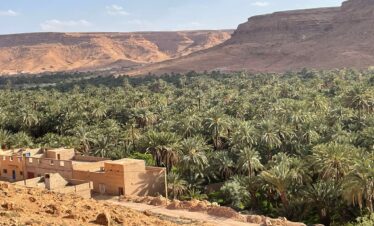 14 Days Morocco Tour,Historic Hassan II Mosque in Casablanca, a starting point for the 14-day Morocco tour." "Colorful souks and traditional lanterns in Marrakech during a guided Morocco tour from Casablanca." "View of the ancient medina in Fes, included in the 14-day Morocco travel itinerary." "The blue-washed streets of Chefchaouen, a must-see destination on a two-week Morocco tour.",Camel caravan crossing the Sahara Desert at sunset during a Morocco desert tour from Casablanca." "Luxury desert camp in Merzouga under a starlit sky, part of a 14-day Morocco adventure." "Snow-capped peaks of the Atlas Mountains seen during a scenic drive on a Morocco itinerary,"Intricate Moroccan tilework at a traditional riad in Fes, featured in the 14-day tour package." "Ancient kasbah in Ait Ben Haddou, a UNESCO site included in the Morocco tour from Casablanca." "Royal palace gates in Rabat, one of the imperial cities visited on the two-week Moroccan journey.",Berber woman demonstrating traditional weaving in an Atlas Mountain village during a cultural Morocco tour." "Tourists enjoying Moroccan tea ceremony in a riad courtyard on a guided 14-day tour." "Cooking class experience in Marrakech as part of an immersive Morocco itinerary." "Local musicians performing Gnawa music in the streets of Essaouira during the Morocco tour