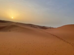 18 Days Desert Tour From Marrakech ,Camel caravan crossing golden sand dunes of Erg Chebbi during sunset on an 18-day Morocco tour,Blue-painted streets and houses in Chefchaouen, Morocco’s famous Blue City, included in an 18-day itinerary,Atlantic Ocean waves along the historic ramparts of Essaouira, a coastal stop on an 18-day Morocco tour.,Scenic road winding through the High Atlas Mountains with Berber villages and rugged peaks,Day 1 – Casablanca “Hassan II Mosque in Casablanca overlooking the Atlantic Ocean, starting point of an 18-day Morocco tour.” Day 2 – Rabat “Historic Kasbah of the Udayas with ocean views in Rabat, Morocco’s capital city.” Day 3 – Asilah “Colorful street art and whitewashed walls in Asilah, Morocco’s coastal art town.” Day 4 – Tangier “Port city of Tangier with views of the Strait of Gibraltar, northern Morocco.” Day 5 – Chefchaouen “Blue-painted alleyways of Chefchaouen, Morocco’s famous Blue City.” Day 6 – Meknes “Bab Mansour gate in Meknes, one of Morocco’s imperial cities.” Day 7 – Fes “Traditional tannery in Fes medina, showcasing Morocco’s leather-making heritage.” Day 8 – Ifrane & Midelt “Swiss-style houses in Ifrane, Morocco’s ‘Little Switzerland’ in the Middle Atlas.” Day 9 – Merzouga (Erg Chebbi Desert) “Camel caravan crossing the golden dunes of Erg Chebbi in the Sahara Desert.” Day 10 – Merzouga Desert Exploration “Nomadic camp in the Sahara Desert near Merzouga with starry night skies.” Day 11 – Todra Gorge “Towering red cliffs of Todra Gorge with a river running through.” Day 12 – Dades Valley “Winding road through the dramatic rock formations of Dades Valley.” Day 13 – Rose Valley & Ouarzazate “Traditional kasbah in Rose Valley near Ouarzazate, Morocco’s film capital.” Day 14 – Ait Benhaddou “UNESCO World Heritage kasbah of Ait Benhaddou at sunset.” Day 15 – Marrakech “Vibrant Jemaa el-Fnaa square in Marrakech with market stalls and street performers.” Day 16 – Marrakech (Sightseeing) “Majorelle Garden with cobalt blue walls and exotic plants in Marrakech.” Day 17 – Essaouira “Seaside ramparts and fishing boats in Essaouira, Morocco’s Atlantic coastal city.” Day 18 – Return to Casablanca “Aerial view of Casablanca city with the Hassan II Mosque by the sea.”