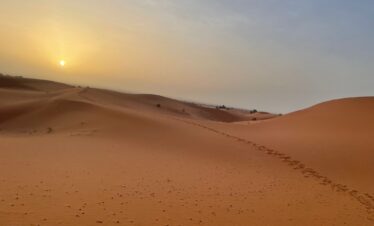 18 Days Desert Tour From Marrakech ,Camel caravan crossing golden sand dunes of Erg Chebbi during sunset on an 18-day Morocco tour,Blue-painted streets and houses in Chefchaouen, Morocco’s famous Blue City, included in an 18-day itinerary,Atlantic Ocean waves along the historic ramparts of Essaouira, a coastal stop on an 18-day Morocco tour.,Scenic road winding through the High Atlas Mountains with Berber villages and rugged peaks,Day 1 – Casablanca “Hassan II Mosque in Casablanca overlooking the Atlantic Ocean, starting point of an 18-day Morocco tour.” Day 2 – Rabat “Historic Kasbah of the Udayas with ocean views in Rabat, Morocco’s capital city.” Day 3 – Asilah “Colorful street art and whitewashed walls in Asilah, Morocco’s coastal art town.” Day 4 – Tangier “Port city of Tangier with views of the Strait of Gibraltar, northern Morocco.” Day 5 – Chefchaouen “Blue-painted alleyways of Chefchaouen, Morocco’s famous Blue City.” Day 6 – Meknes “Bab Mansour gate in Meknes, one of Morocco’s imperial cities.” Day 7 – Fes “Traditional tannery in Fes medina, showcasing Morocco’s leather-making heritage.” Day 8 – Ifrane & Midelt “Swiss-style houses in Ifrane, Morocco’s ‘Little Switzerland’ in the Middle Atlas.” Day 9 – Merzouga (Erg Chebbi Desert) “Camel caravan crossing the golden dunes of Erg Chebbi in the Sahara Desert.” Day 10 – Merzouga Desert Exploration “Nomadic camp in the Sahara Desert near Merzouga with starry night skies.” Day 11 – Todra Gorge “Towering red cliffs of Todra Gorge with a river running through.” Day 12 – Dades Valley “Winding road through the dramatic rock formations of Dades Valley.” Day 13 – Rose Valley & Ouarzazate “Traditional kasbah in Rose Valley near Ouarzazate, Morocco’s film capital.” Day 14 – Ait Benhaddou “UNESCO World Heritage kasbah of Ait Benhaddou at sunset.” Day 15 – Marrakech “Vibrant Jemaa el-Fnaa square in Marrakech with market stalls and street performers.” Day 16 – Marrakech (Sightseeing) “Majorelle Garden with cobalt blue walls and exotic plants in Marrakech.” Day 17 – Essaouira “Seaside ramparts and fishing boats in Essaouira, Morocco’s Atlantic coastal city.” Day 18 – Return to Casablanca “Aerial view of Casablanca city with the Hassan II Mosque by the sea.”