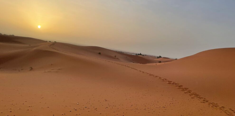 18 Days Desert Tour From Marrakech ,Camel caravan crossing golden sand dunes of Erg Chebbi during sunset on an 18-day Morocco tour,Blue-painted streets and houses in Chefchaouen, Morocco’s famous Blue City, included in an 18-day itinerary,Atlantic Ocean waves along the historic ramparts of Essaouira, a coastal stop on an 18-day Morocco tour.,Scenic road winding through the High Atlas Mountains with Berber villages and rugged peaks,Day 1 – Casablanca “Hassan II Mosque in Casablanca overlooking the Atlantic Ocean, starting point of an 18-day Morocco tour.” Day 2 – Rabat “Historic Kasbah of the Udayas with ocean views in Rabat, Morocco’s capital city.” Day 3 – Asilah “Colorful street art and whitewashed walls in Asilah, Morocco’s coastal art town.” Day 4 – Tangier “Port city of Tangier with views of the Strait of Gibraltar, northern Morocco.” Day 5 – Chefchaouen “Blue-painted alleyways of Chefchaouen, Morocco’s famous Blue City.” Day 6 – Meknes “Bab Mansour gate in Meknes, one of Morocco’s imperial cities.” Day 7 – Fes “Traditional tannery in Fes medina, showcasing Morocco’s leather-making heritage.” Day 8 – Ifrane & Midelt “Swiss-style houses in Ifrane, Morocco’s ‘Little Switzerland’ in the Middle Atlas.” Day 9 – Merzouga (Erg Chebbi Desert) “Camel caravan crossing the golden dunes of Erg Chebbi in the Sahara Desert.” Day 10 – Merzouga Desert Exploration “Nomadic camp in the Sahara Desert near Merzouga with starry night skies.” Day 11 – Todra Gorge “Towering red cliffs of Todra Gorge with a river running through.” Day 12 – Dades Valley “Winding road through the dramatic rock formations of Dades Valley.” Day 13 – Rose Valley & Ouarzazate “Traditional kasbah in Rose Valley near Ouarzazate, Morocco’s film capital.” Day 14 – Ait Benhaddou “UNESCO World Heritage kasbah of Ait Benhaddou at sunset.” Day 15 – Marrakech “Vibrant Jemaa el-Fnaa square in Marrakech with market stalls and street performers.” Day 16 – Marrakech (Sightseeing) “Majorelle Garden with cobalt blue walls and exotic plants in Marrakech.” Day 17 – Essaouira “Seaside ramparts and fishing boats in Essaouira, Morocco’s Atlantic coastal city.” Day 18 – Return to Casablanca “Aerial view of Casablanca city with the Hassan II Mosque by the sea.”