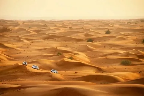 3 Days Morocco Desert Tour,A camel caravan moving across the tall, golden sand dunes of Erg Chebbi at sunset, with the High Atlas Mountains visible in the far distance.,Travelers riding camels in a single-file line during a sunset camel trek on the orange sand dunes of Merzouga.,Traditional Berber tents set up amongst the sand dunes of the Sahara desert under a starry night sky.,The historic, earthen-walled Ksar of Aït Benhaddou, a UNESCO World Heritage site, built into a hillside in southern Morocco..A winding road cutting through the rugged, reddish-brown peaks of the High Atlas Mountains in Morocco..The towering, sheer rock walls of Todra Gorge, with a narrow river and pathway at the bottom..A group of happy travelers posing together on top of a large sand dune in the Erg Chebbi desert.