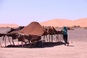 3 Day Marrakech Desert Tour