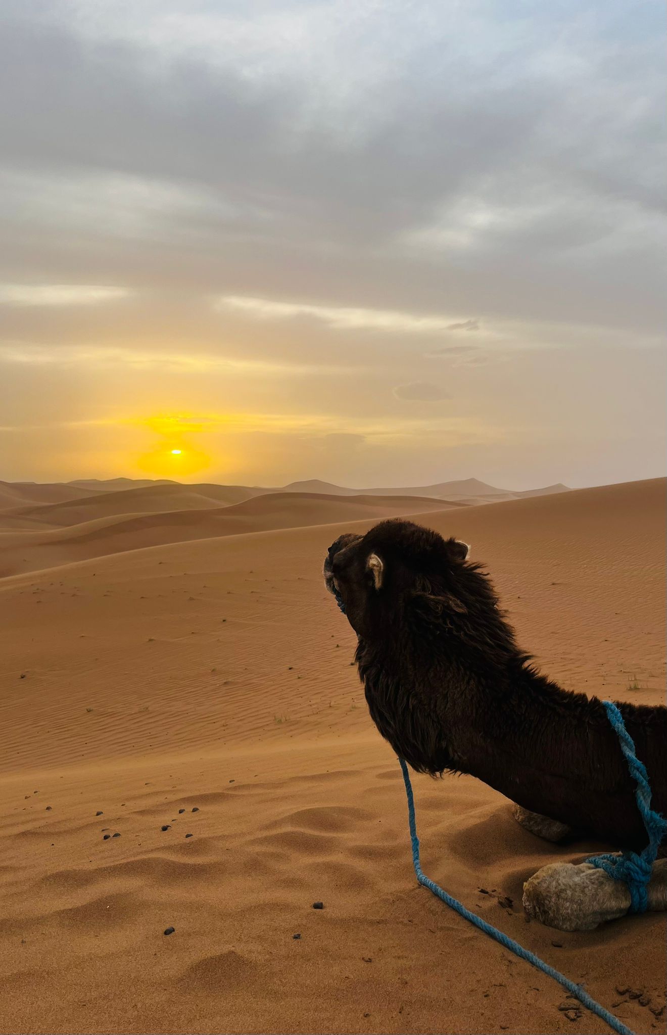 5 Day Desert Itinerary From Marrakech