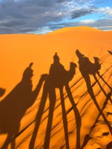 7 Days from Marrakech to Erg Chebbi Spend a night in a desert camp under a blanket of stars after a camel trek into the Erg Chebbi dunes.
