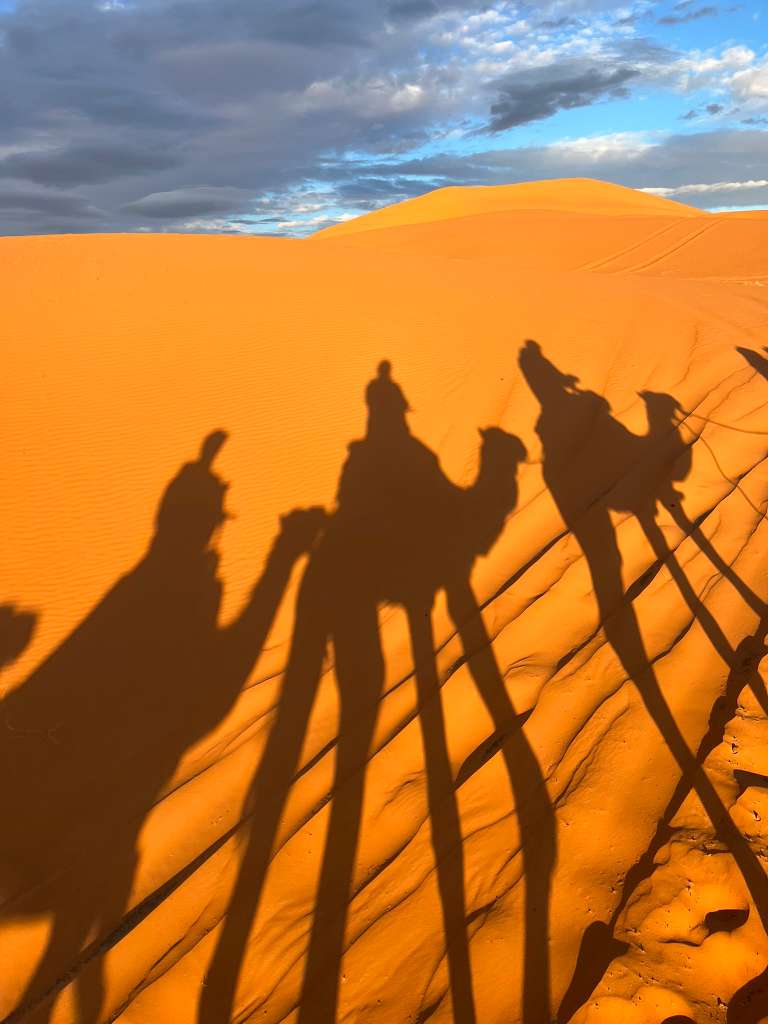 7 Days from Marrakech to Erg Chebbi Spend a night in a desert camp under a blanket of stars after a camel trek into the Erg Chebbi dunes.