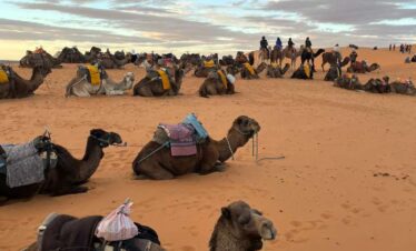 7 Day Desert Itinerary From Marrakech