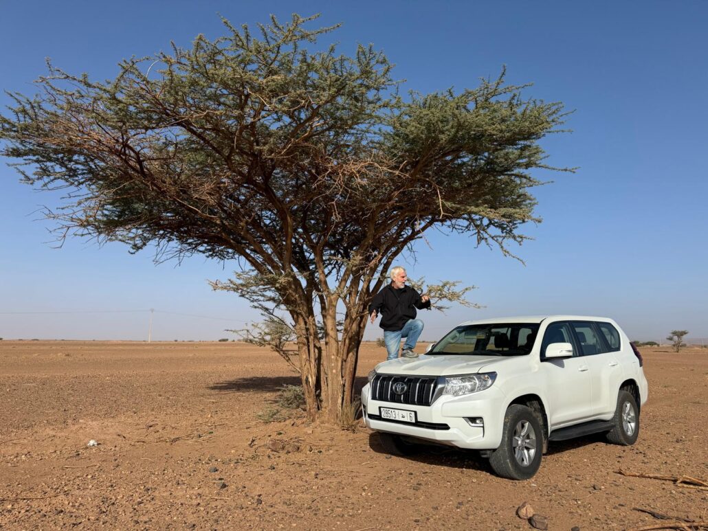 Marrakech Roots Road Trip.Camel trekking in the Sahara desert during a Marrakech Roots Road Trip
