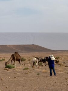 Marrakech to Merzouga Itinerary.Panoramic view of sunset over the golden dunes of Erg Chebbi in Merzouga along the Marrakech desert route