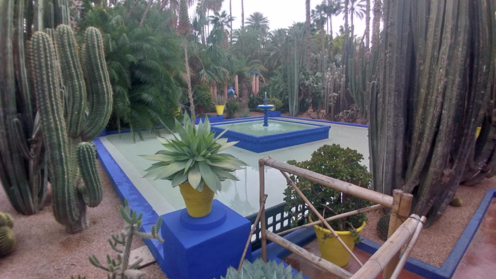 Morocco 8 Day From Marrakech Tour,A line of camels carrying travelers through the orange sand dunes of Erg Chebbi on an 8-day Morocco desert tour.