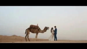 Couple toasting champagne after a successful agafay desert proposal in marrakech. Sunset camel ride in agafay desert leading to a romantic marry me moment.