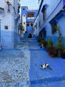 1 Week Morocco Itinerary,Panoramic view of the Sahara Desert at sunset during a 7 days Morocco itinerary from Marrakech with Rachid Morocco Tours.