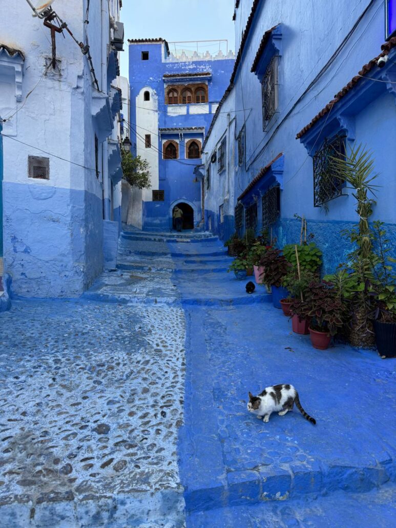 1 Week Morocco Itinerary,Panoramic view of the Sahara Desert at sunset during a 7 days Morocco itinerary from Marrakech with Rachid Morocco Tours.