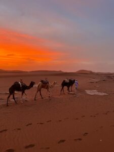 9 days morocco desert itinerary