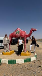 Camel trek in Merzouga Sahara Desert Morocco